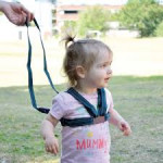 Safety 1st harness