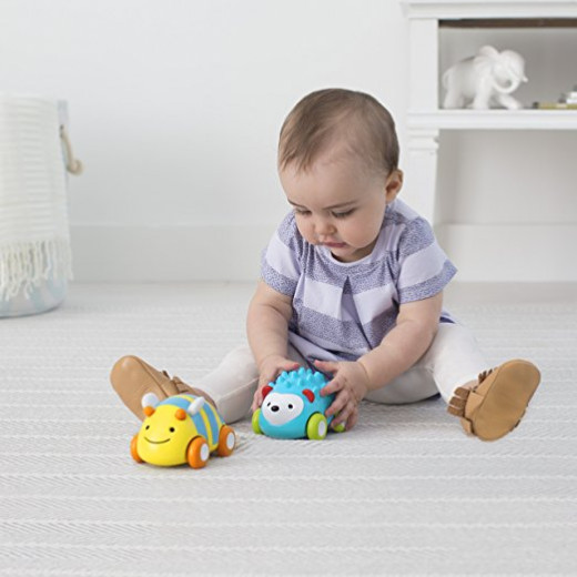 Skip Hop Explore and More Pull-and-Go Toy Car, Bee