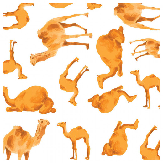 Pure Born - Organic Nappy Size 5, Camel Print, 11-18 Kg, 22 Nappies