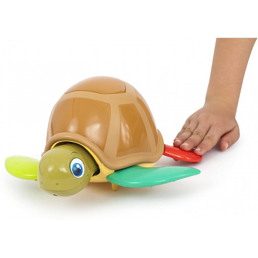 Play Fun Turtle Game