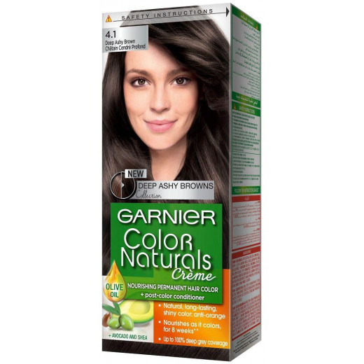 Garnier Nourishing Permanent Hair Color With Conditioner Brown Grey Deep 4.1