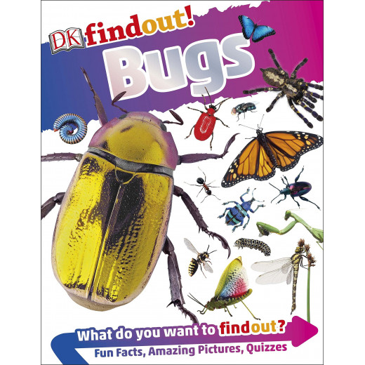 Findout  Bugs