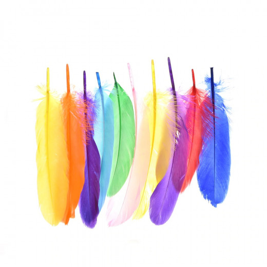 Foska Colored feathers set
