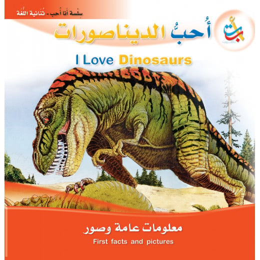 I Love Series - I love dinosaurs - 24 Pages - 28x28