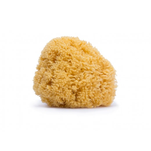 Suavinex Natural Sponge - Medium