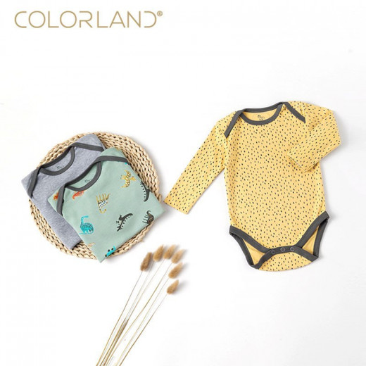 Colorland Baby Bodysuit 3 Pieces In One Pack, 0-3 Months