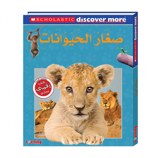 Scholastic - Baby Animals - Discover More