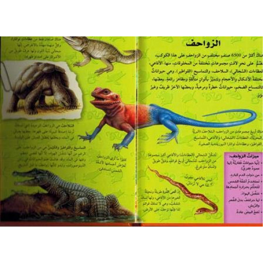 Discover with the Three-dimensional Telescope ( Reptiles)