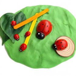 YIPPEE! Sensory Ladybug Playdough Kit
