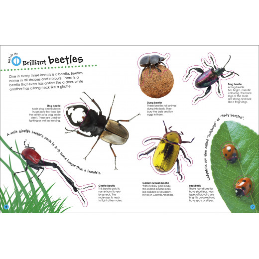 كتاب الحشرات مع ملصقات من ي كي
