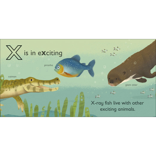 DK Book: X Is For X-ray Fish