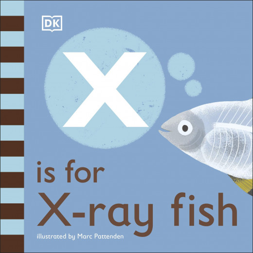 كتاب : سمكة الاشعة السينية هي حرف الاكس من دي كي