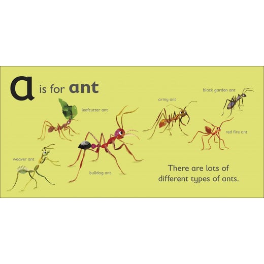 DK Book: A is for Ant