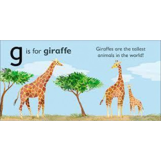 Dk Books Publisher Book: (G) Is For Giraffe