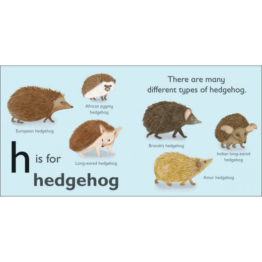 DK Books Publisher Book: (H) Is For Hedgehog