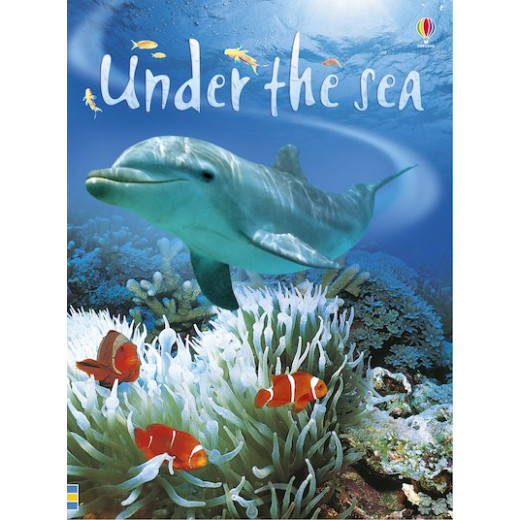 Usborne Under The Sea Book