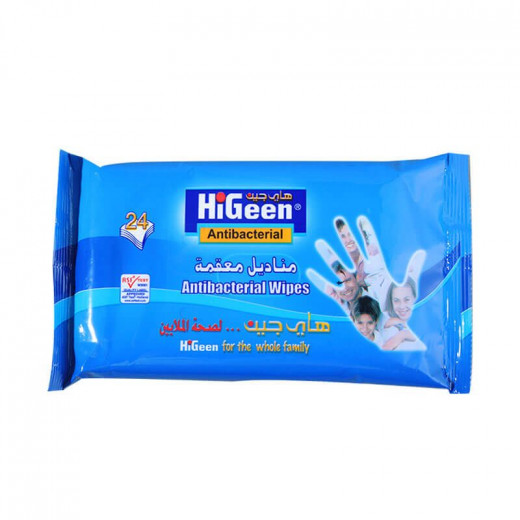 Higeen Anti-bacerial Wipes, 24s