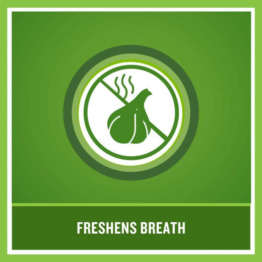 Listerine Fresh Burst Green Tea Mouthwash, 500Ml