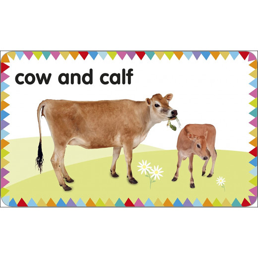 بطاقات : حيوانات المزرعة من دي كي