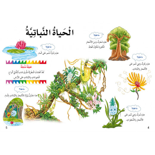 Dar Al Manhal My First Questions And Answers: Rainforests