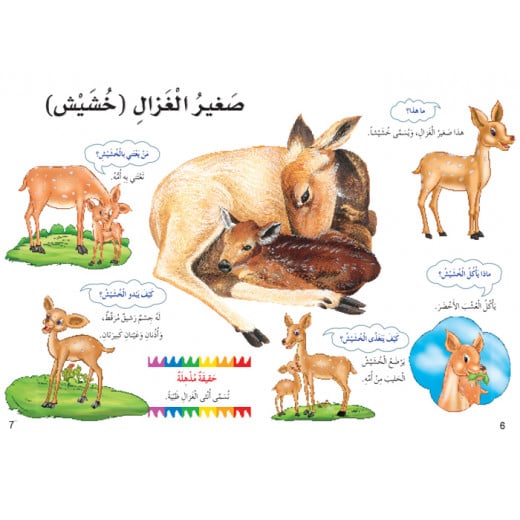 Dar Al Manhal My First Questions And Answers: Small Animals