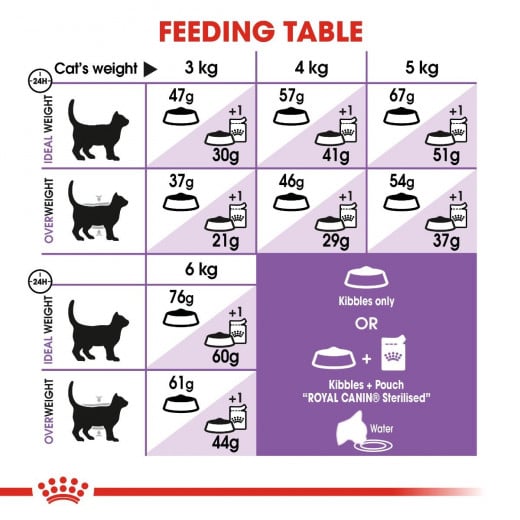 طعام للقطط, رقم 37, 4 كجم من رويال كانين