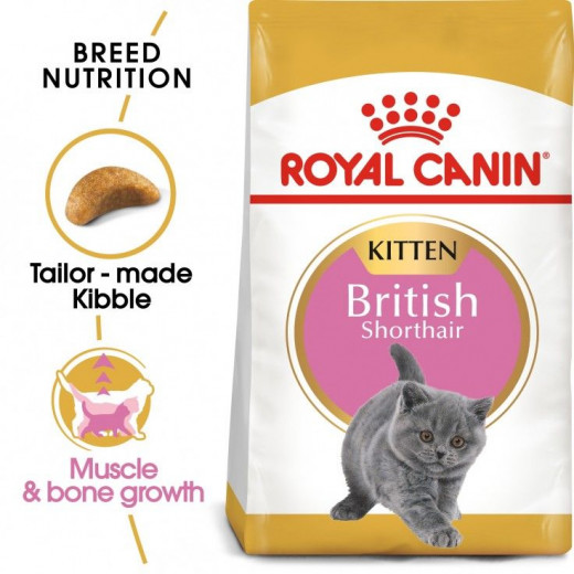 Royal Canin Kitten British Shorthair, 2 Kilo