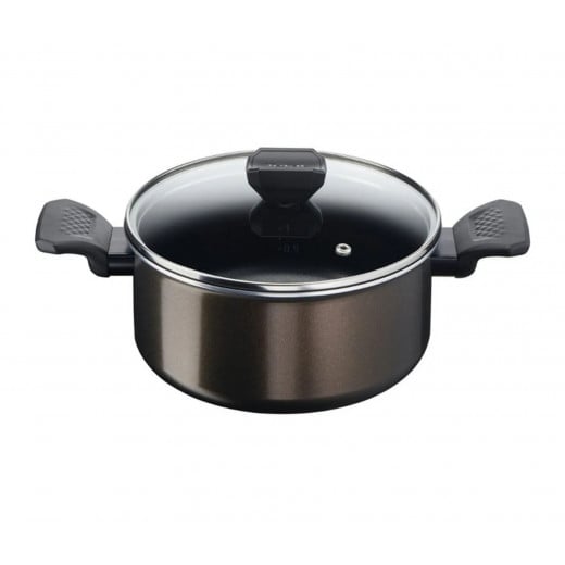 Tefal Easy Cook and Clean Stewpot + Lid, 24 Cm