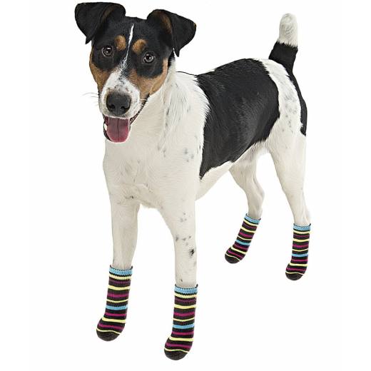 FerPlast Pet Socks, Colorful, Small