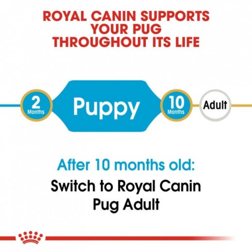 Royal Canin Pug Puppy Dry Dog Food, 1.5 Kg