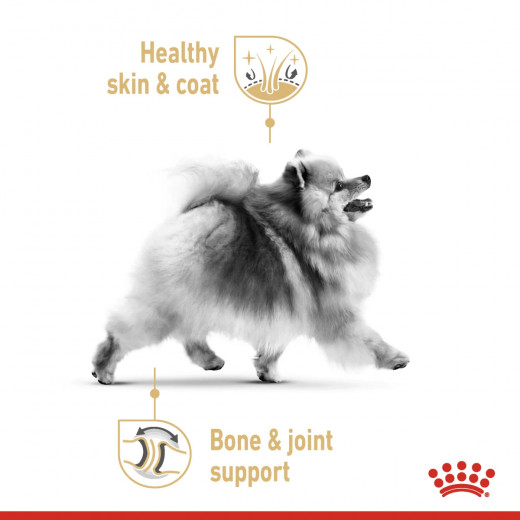 Royal Canin Pomeranian Adult Dry Dog Food, 1.5 Kg
