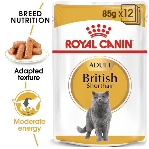 طعام قطط بريطاني للشعر القصير ، 85 جرام رويال كانين