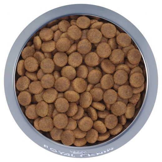 Royal Canin Adult Dog Dry Dog Food, Medium, 15kg