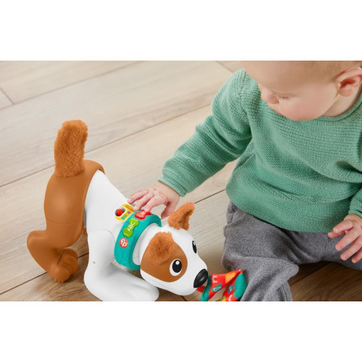 Fisher Price 123 Crawl with Me Puppy