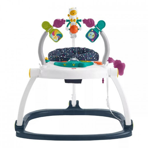 Fisher Price Adjustable Bouncing Seat