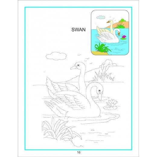 كتاب التلوين الإبداعي - الحيوانات المائية - من دريم لاند