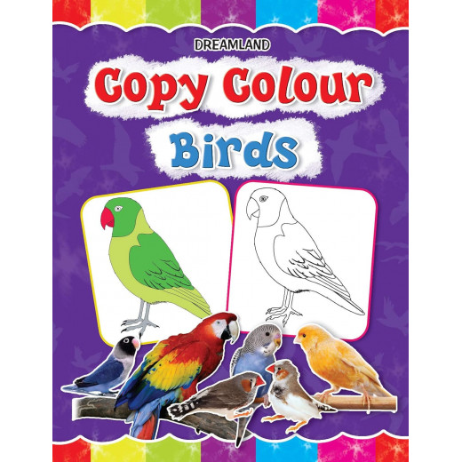 Dreamland | Copy Color | Birds