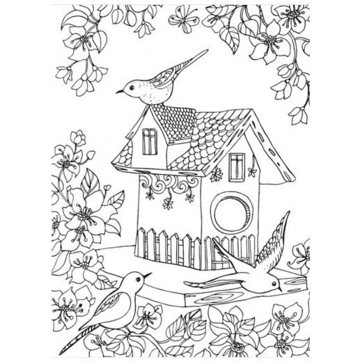Dreamland countryside coloring book for adults